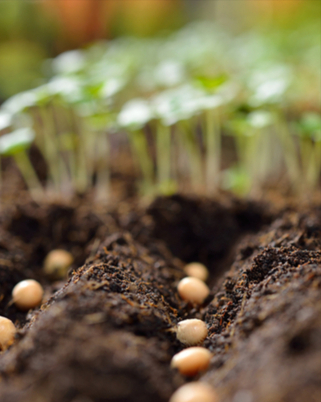 “農(nóng)產(chǎn)品批發(fā)價(jià)格200指數(shù)”比上周五上漲0.07個(gè)點(diǎn)