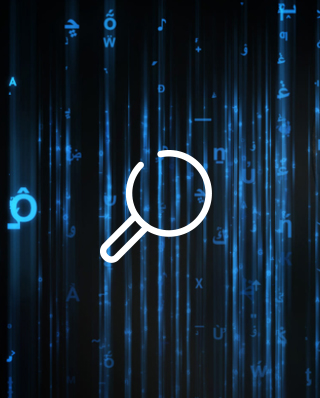 齊豐種業(yè)官方網(wǎng)站正式試運行